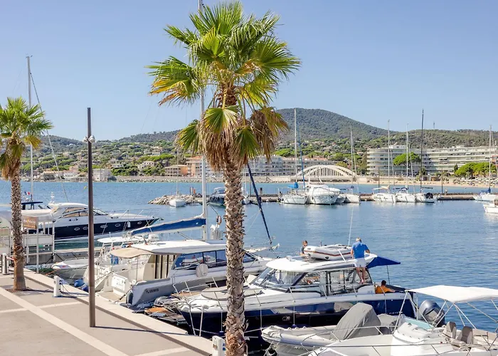 Regina-2 By Interhome * Sainte-Maxime